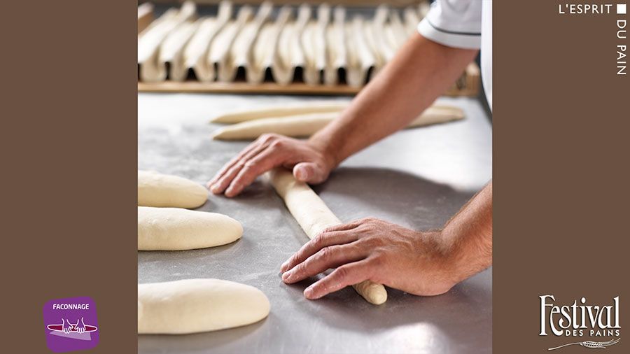 Formations proposées par Festival des pains